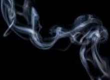 Kwikfynd Drain Smoke Testing
yarrawongasouth